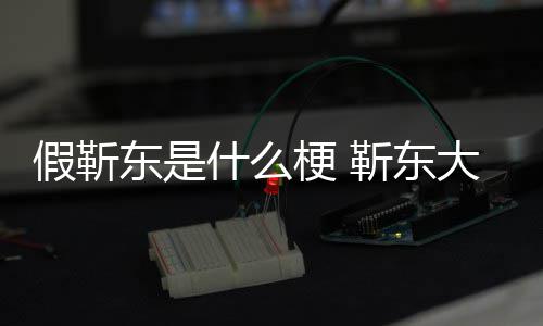 消息被骗东是大妈粉丝最新梗 什么事件始末假靳靳东进展