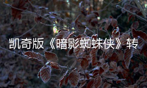 侠喜剧暗影艾美版提名蜘蛛转战赛道将奖凯奇