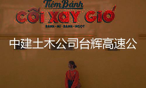 项目验收土木台辉中建公司高速公路交工