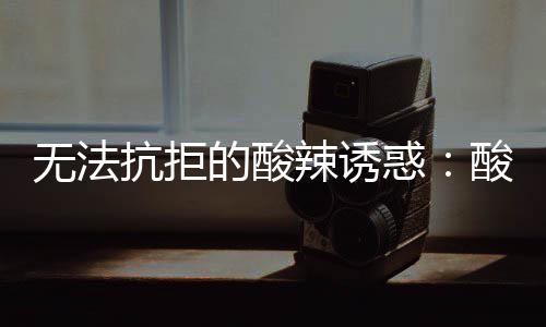 无法惑的酸肥牛辣诱酸汤金针抗拒