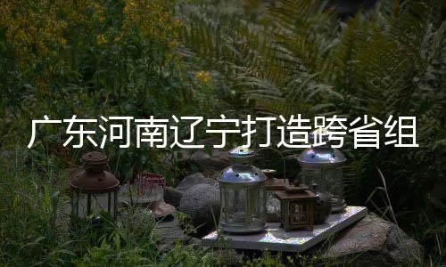 宁入选有望河南打造队辽宁组合泽涛广东三省接力跨省