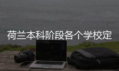 学校本科荷兰汇总定额招生各个阶段