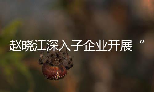 效考入子企业企一一研核专发展题调赵晓战略规划策江深及绩开展